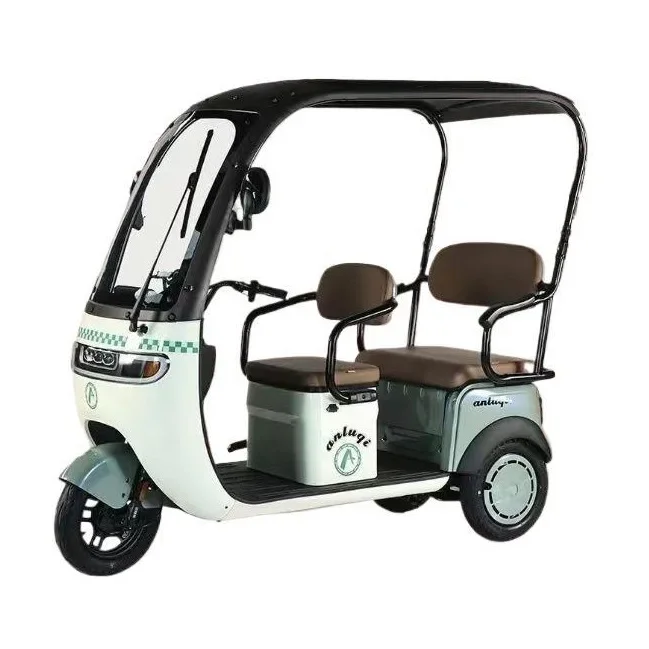 

Electric Tricycle with Shed, Recreational Battery Car, Children, Ladies, Passengers and Cargo, The Elderly Scooter