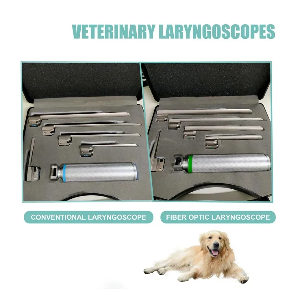 

Animal LED Laryngoscope With Qptional 3 Pieces And 5 Pieces, Stainless Steel Animal Anesthesia Laryngoscope Accessories Clinic
