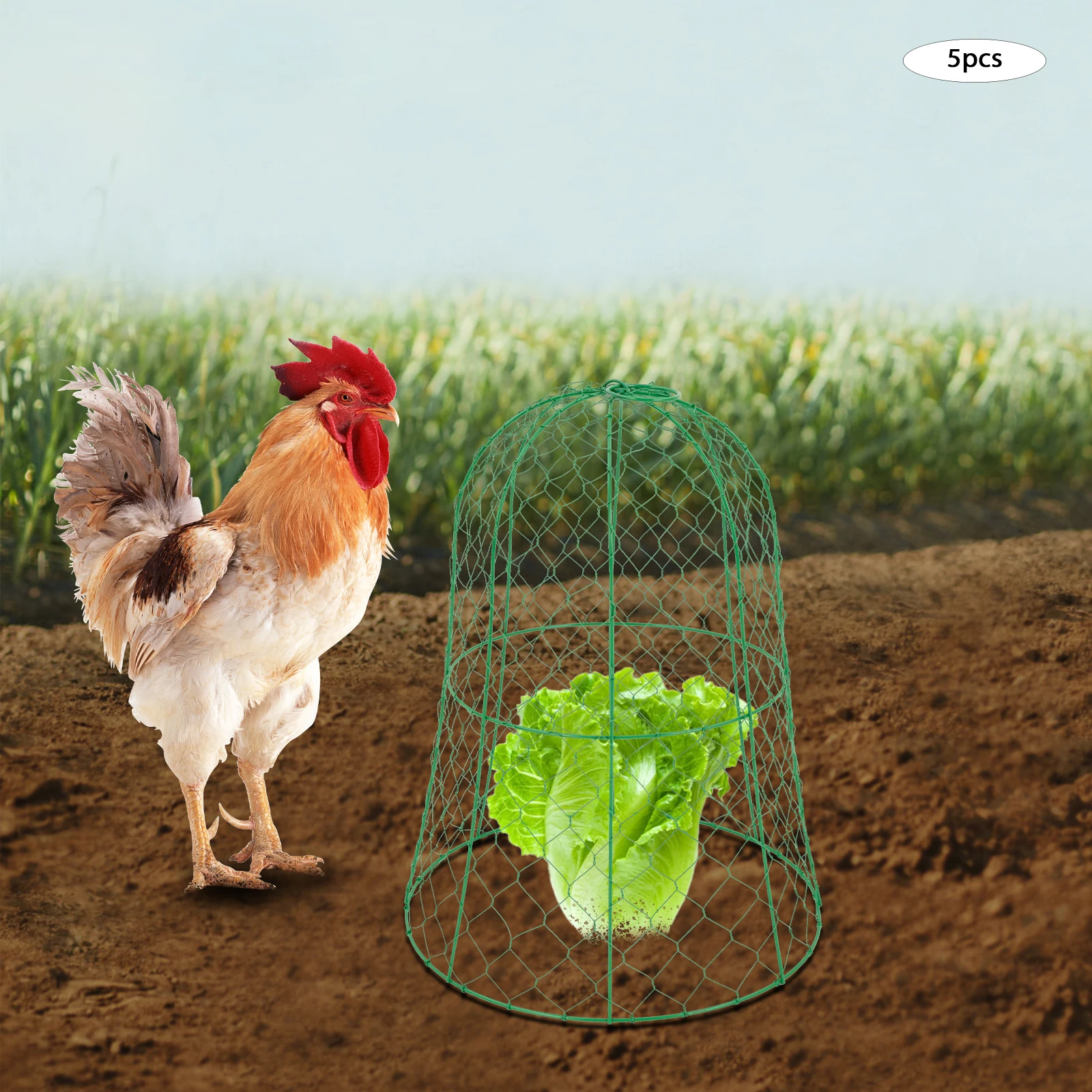 5 Pack Garden Chicken Wire Cloche Plant Protector Cover Strong Metal Cloches (5 Packs) 12.99