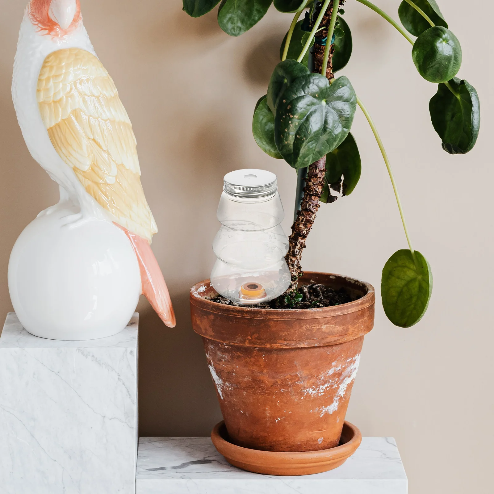 

2 Pcs Globe Plant Waterer Vacation Light Bulb Ceramics Self Watering Tools for Plants