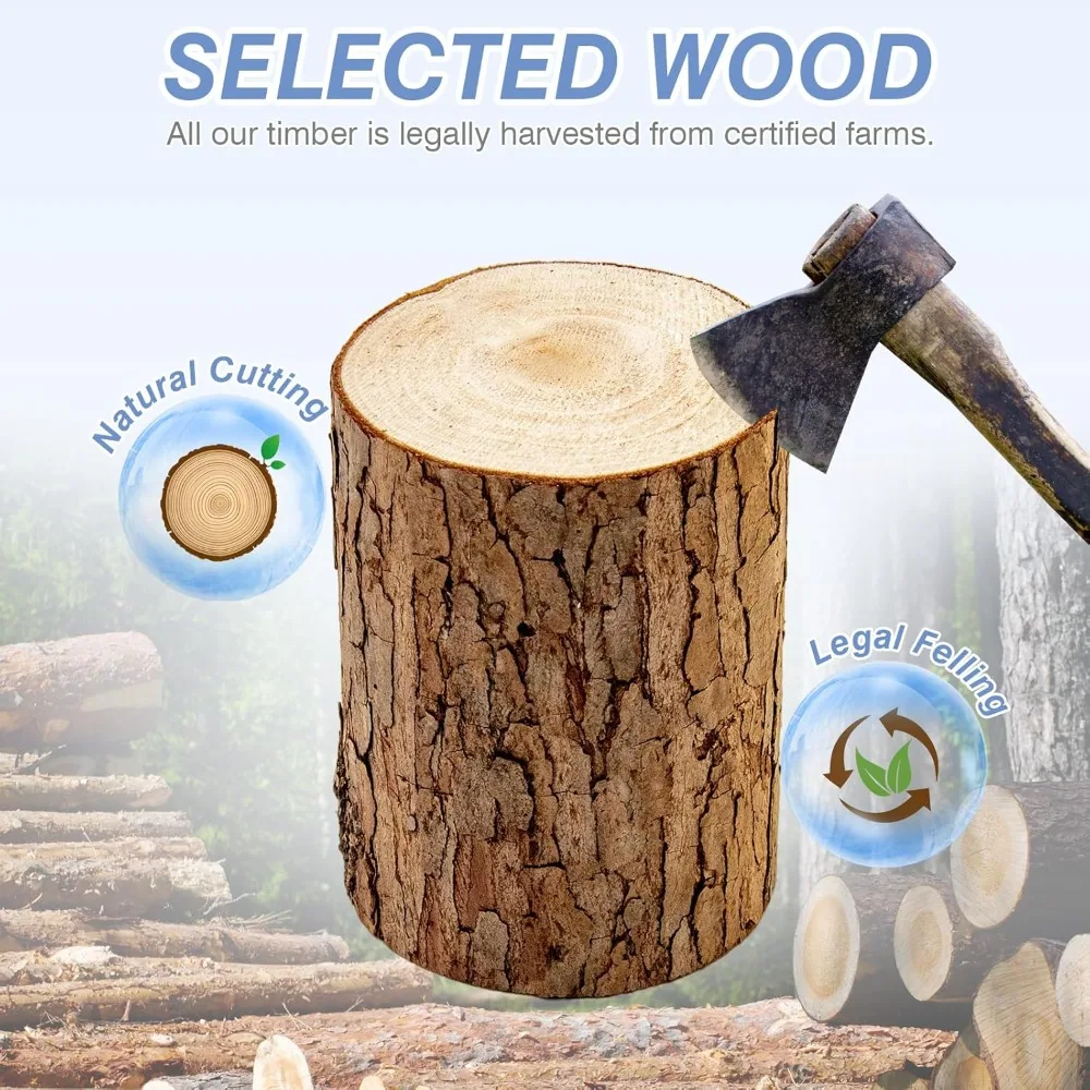 أحدث مجموعة خلية النحل بإطار Windows 8 المطلية يدويًا تتضمن صندوق خلية النحل المفكك مع إطارات ونسيج خلية النحل (2 عميق و2) #4