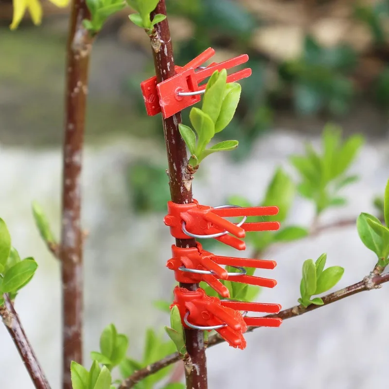 Plant Grafting Clips Red Reusable Seedling Support Clip Vine Fix Fastener for Watermelon Cucumber Vegetable Garden Clamp Tools