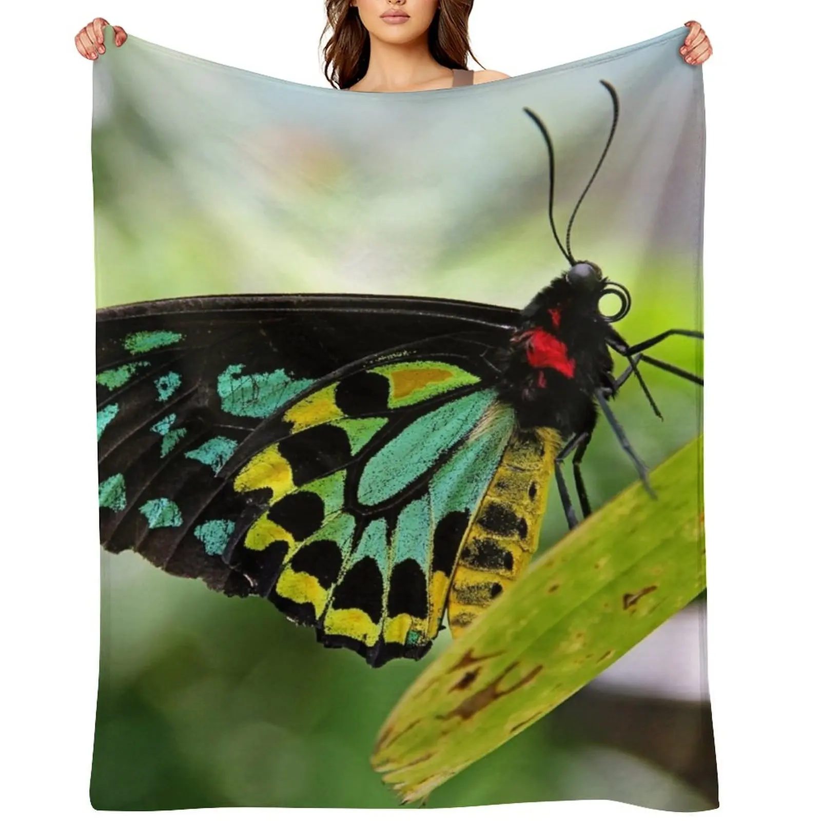 

Cairns Birdwing Butterfly Throw Blanket heavy to sleep blankets ands Bed sofa bed Blankets