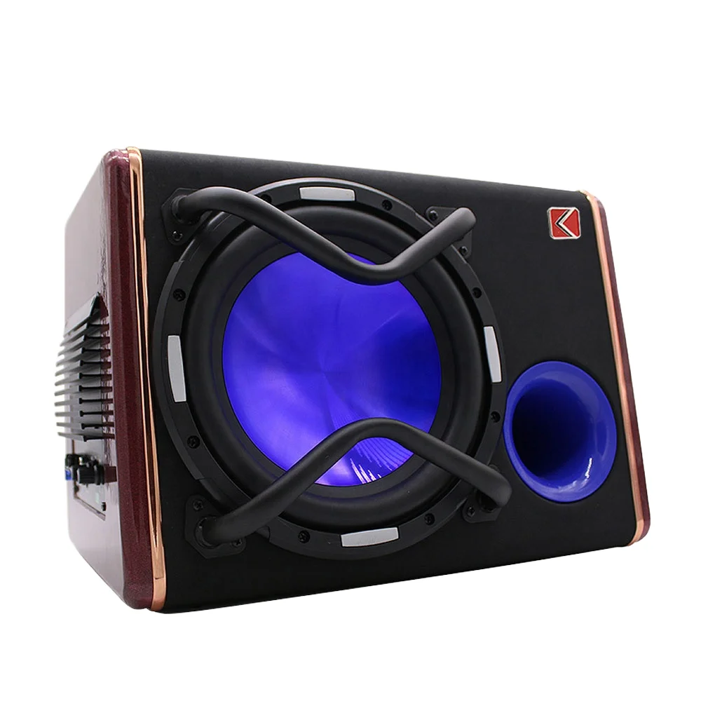 

Ranlraka Wholesale 10 Inch Refit Audio Subwoofer High Power Subwoofer with Box and Amplifier