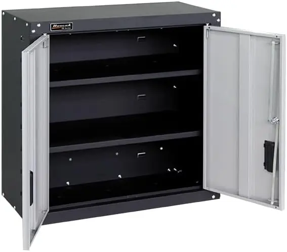 2 Door Wall Cabinet with 2 Shelves, Steel, GS00727021