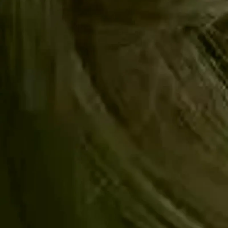 

10pcs Mini Metal Hair Claw Clip Gold Silver Flower Butterfly Small Shark Clips Ins Korean Headwear For Women Hair Accessories