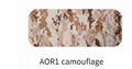 AOR1