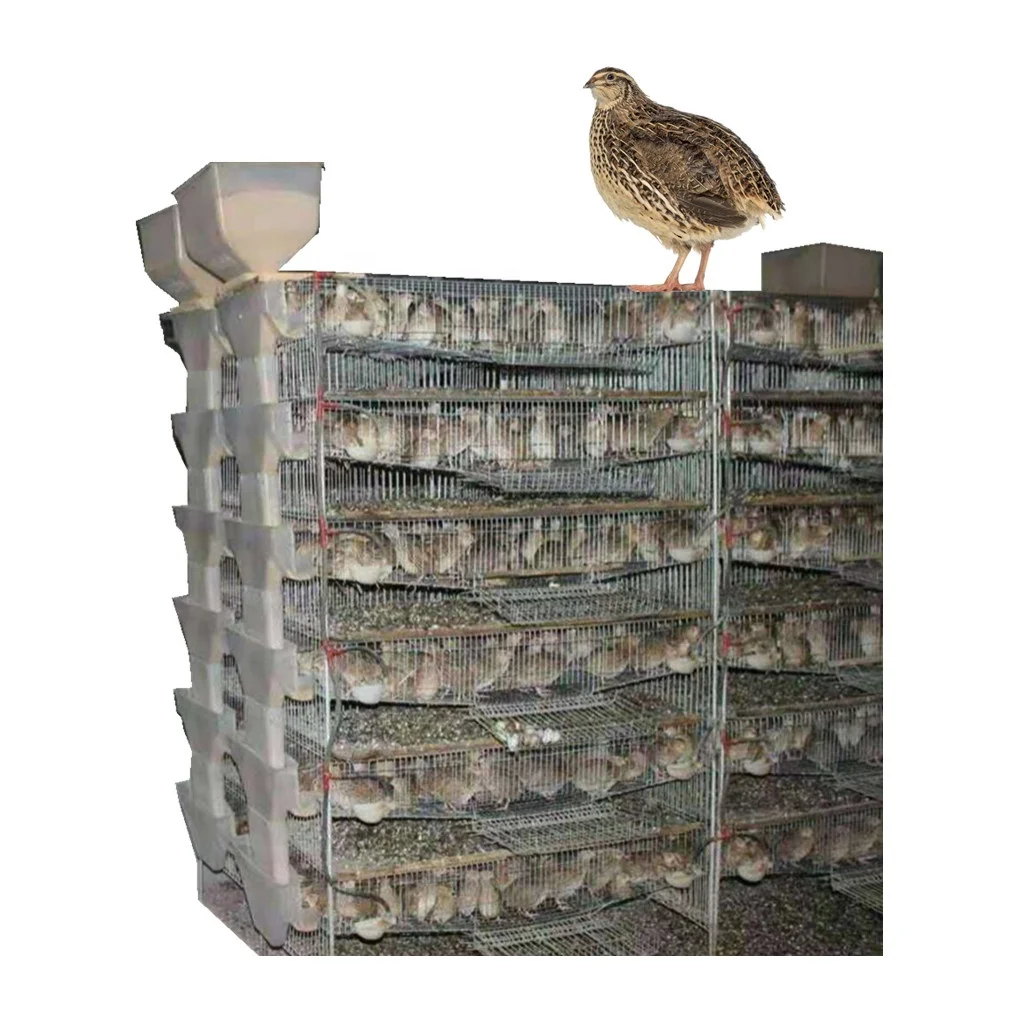 قفص السمان الشبكي السلكي المتين/قفص بطارية الدواجن HJ-QC400A #1