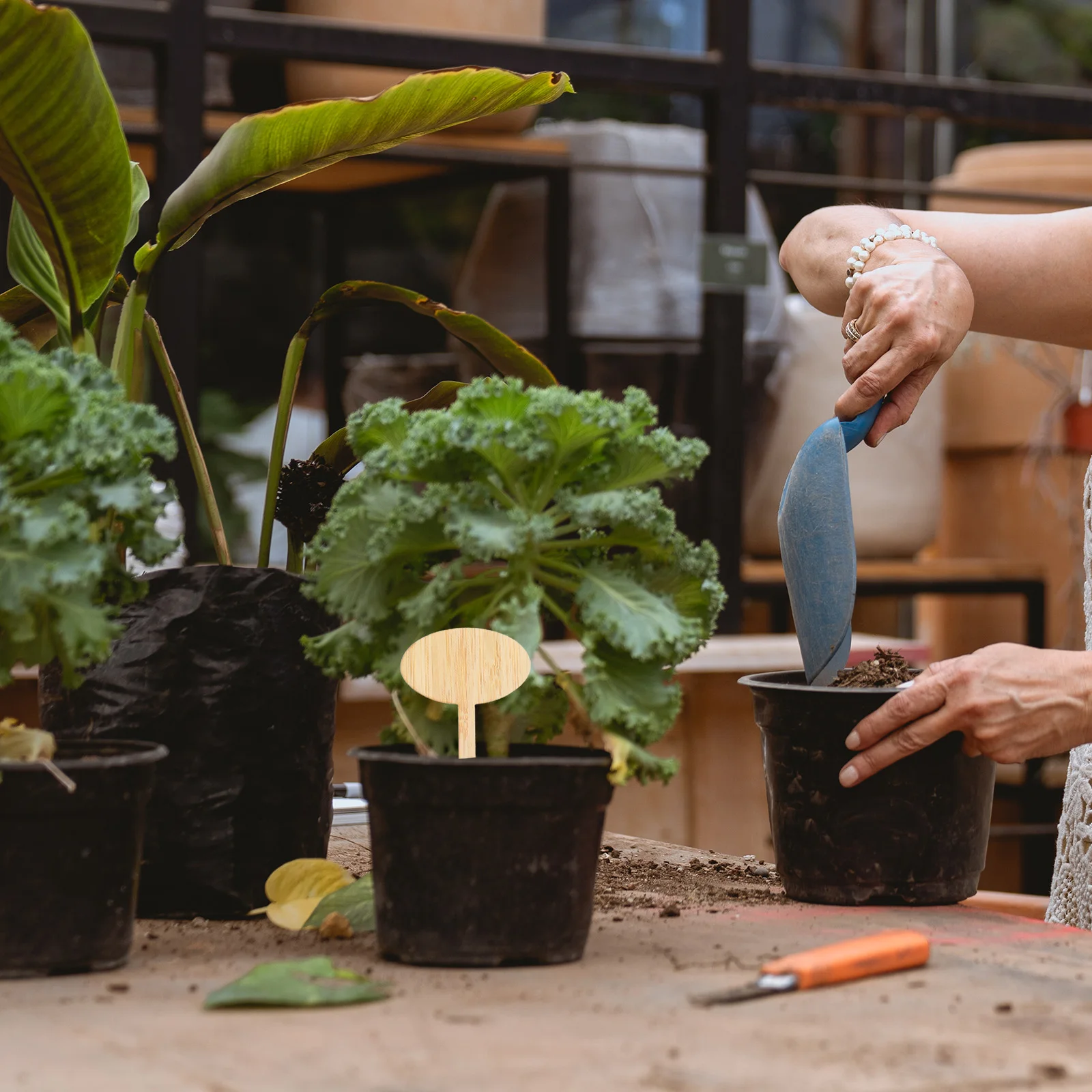 

20 шт. деревянные маркеры для растений, круглый дизайн для горшечных растений, садов, прочный, безопасный, простой в использовании, забавный садовый декор, этикетка для растений
