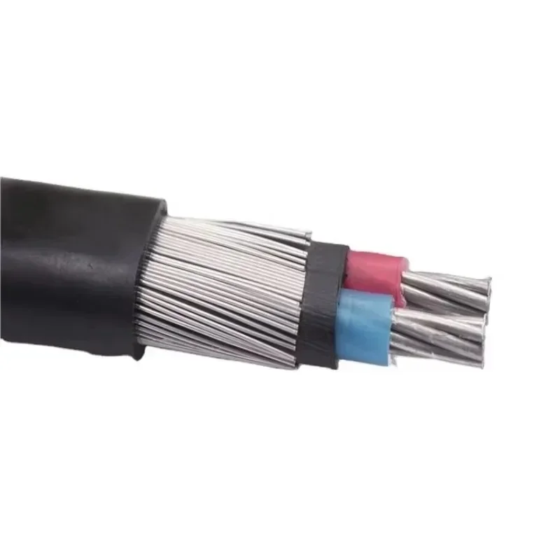 【From China】2 Core 10mm2 16mm2 25mm2 35mm2 Copper Conductor Concentric Cable XLPE Insulated