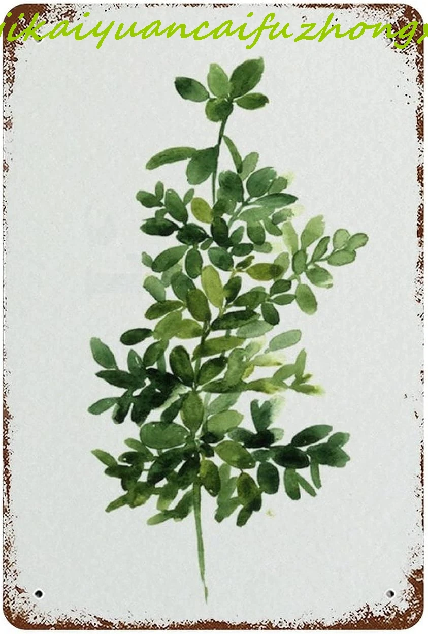 Letrero de estaño Vintage, decoración de tomillo, arte botánico verde, letrero de pared, hierbas medicinales, acuarela, decoración de pared, hojas de hierba, decoración de cocina, Thymus