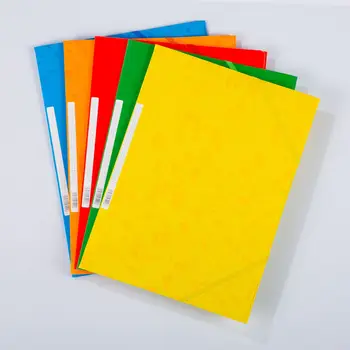 エラスティックコードファイルフォルダー、a4レターサイズ、追加容量ドキュメントオーガナイザー、ビジネスフィリングフォルダー、学校事務用品、10個