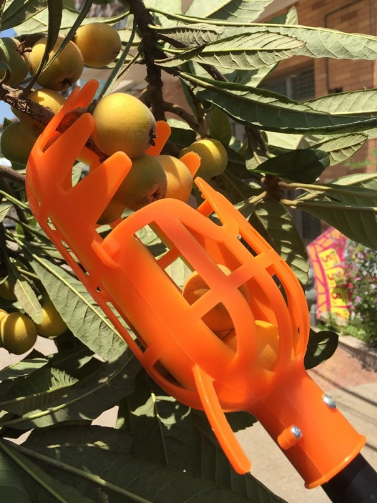 Fruit Picker Tool Hoge Tak Oogst Apparaat voor Bayberry Loquat Pruim Jujube Abrikoos Multifunctionele Tuin Plukken Tool - afbeelding 2