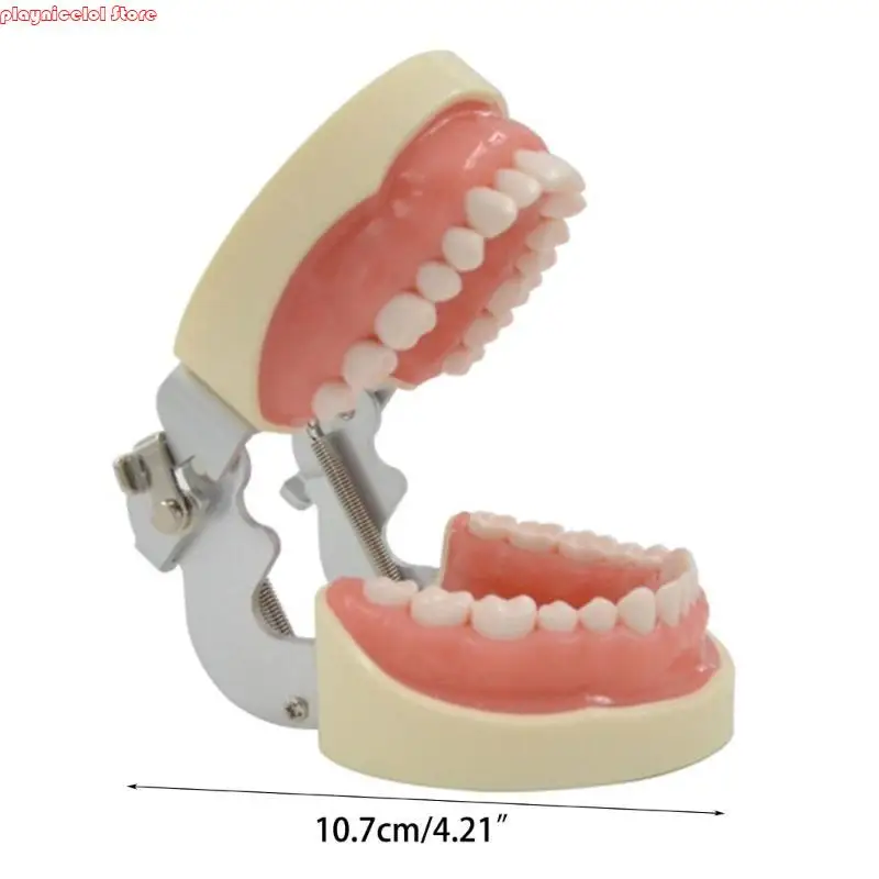 E8BA AMOVIBLE DÉTES DÉTRES AVEC
