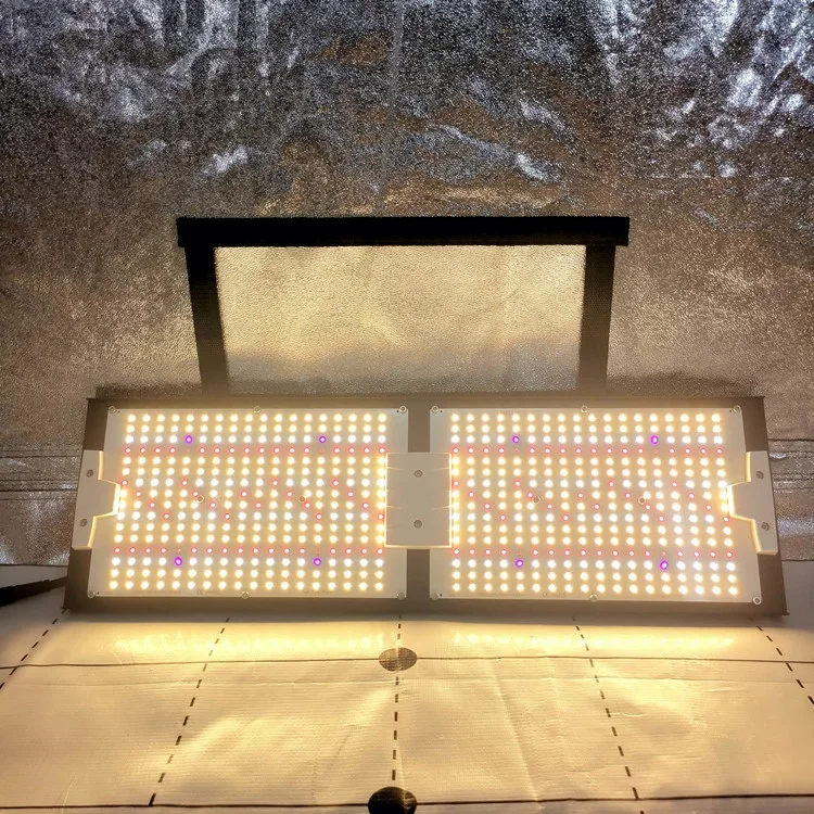 

KingBrite 240W Samsung LM301H EVO+Epistar 660nm UV IR Full Spectrum Led Grow Light