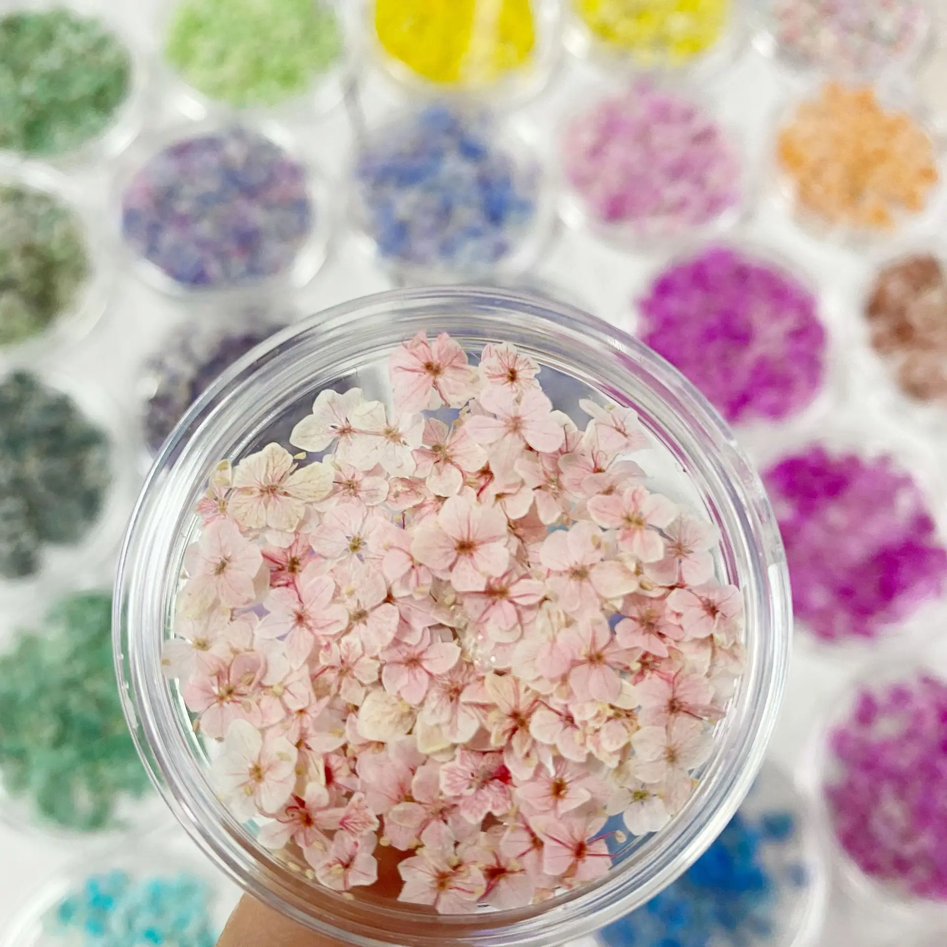 Thumbnail 2 - #11 Trending Dried Flowers Right Now