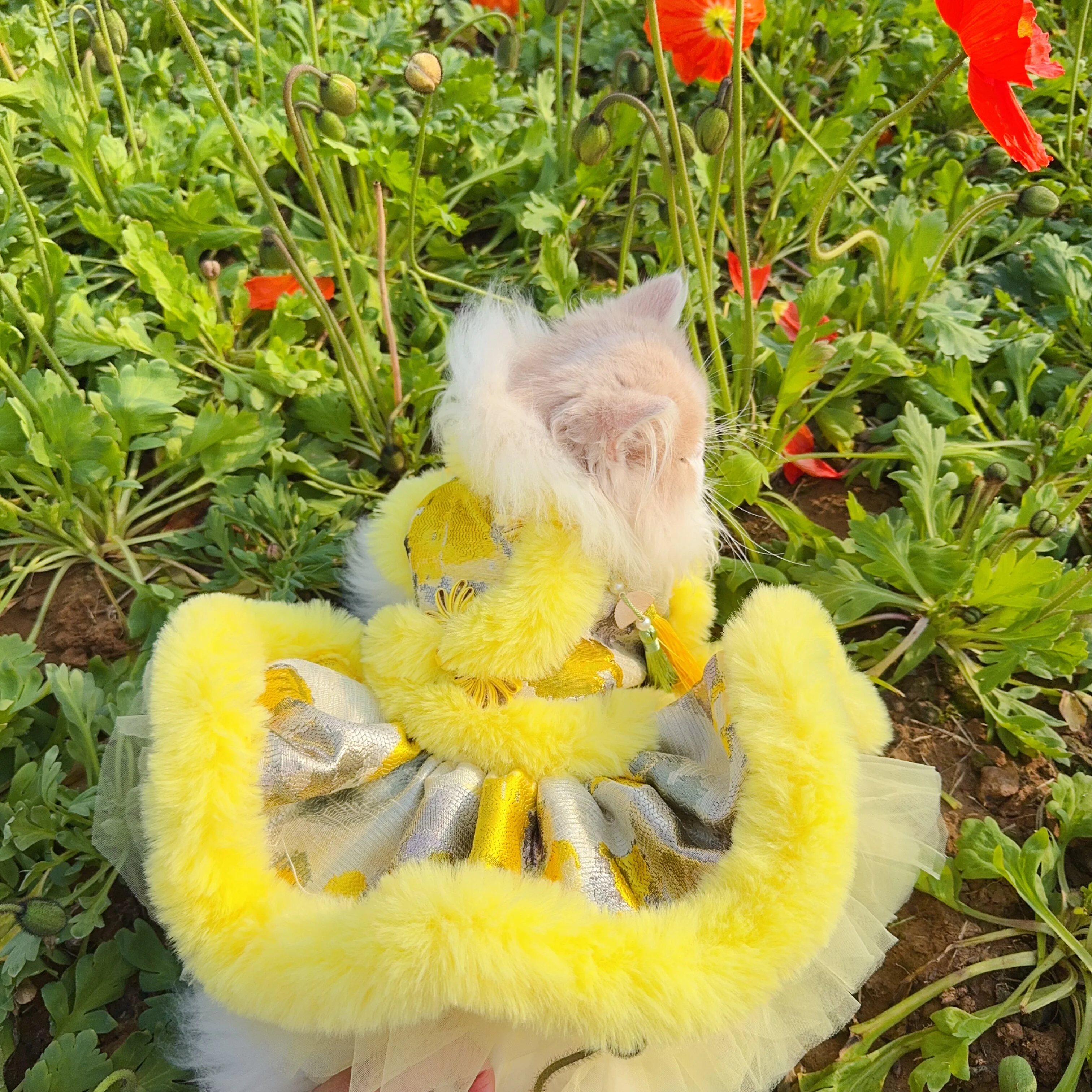 

Платье-пальто для собак в китайском стиле с вышивкой и принтом, ручной работы, плюшевое, теплое, для маленьких и средних собак, одежда для питомцев