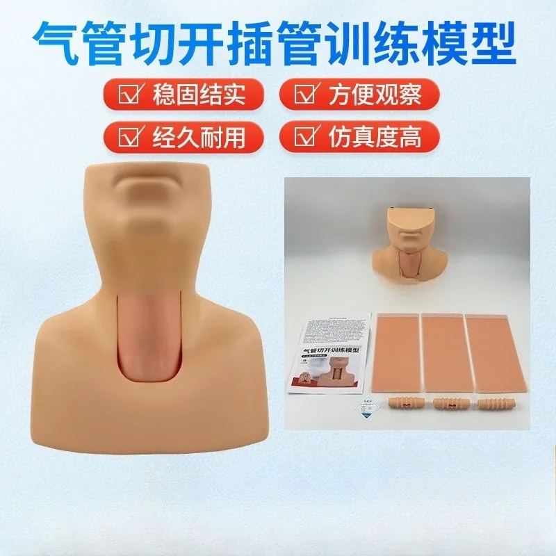 Cricothyrotomy & Tracheostomy Training Model - Practice Cricothyroid Membrane Puncture and Airway Intubation Procedure