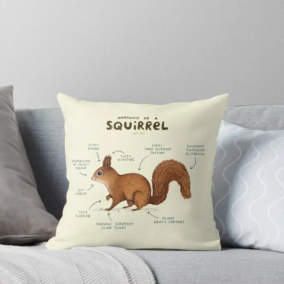 Anatomy of a Squirrel Throw Throw Pillow Cushion Covers For Living Room Anime pillow