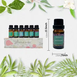 6-piece Set Gift Box Single Essential Oil Plant Aromatherapy 10ml Home Car Diffuser Fragrance diy Fresh Air