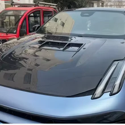 

Carbon Fiber Hood for LYNK 03