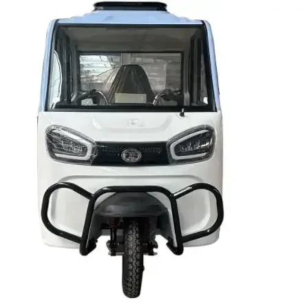 Fully Enclosed 2 Doors Commercial Electric Tricycle for Passengers 3 Wheeler Electric Vehicles for Adults