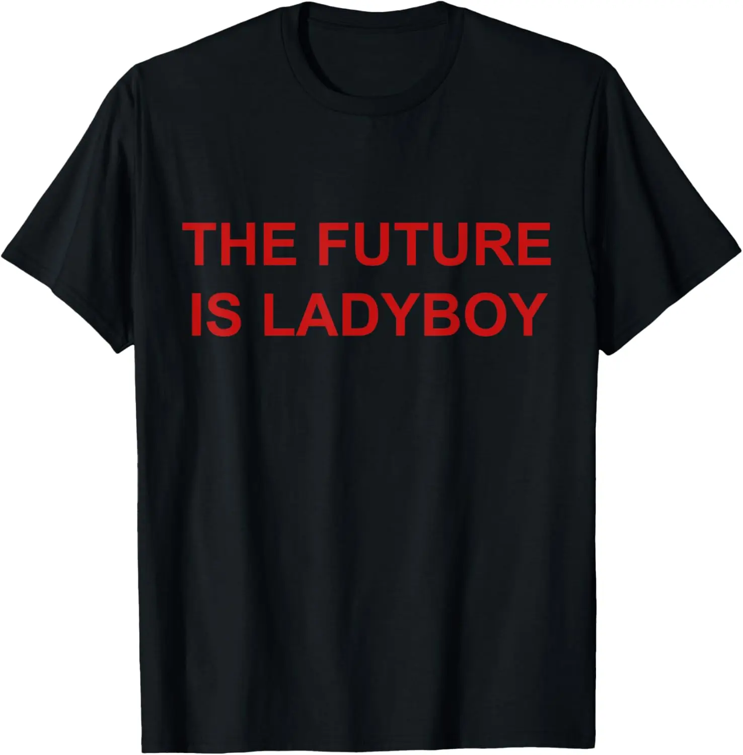 

the future is ladyboy T-Shirt