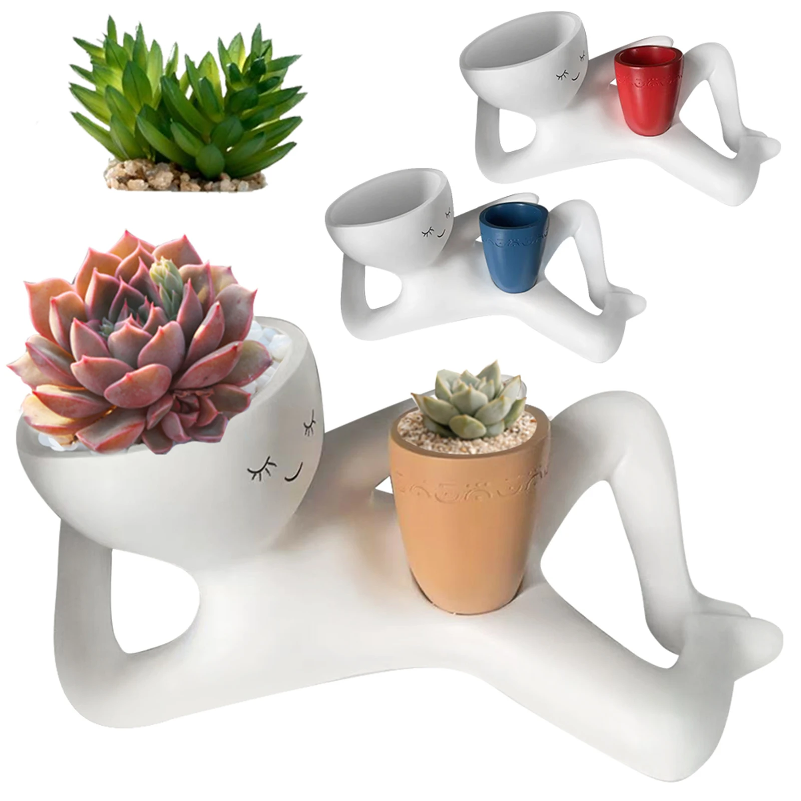 Lazy Guy Planter with Drainage - Echeveria Succulent review and price