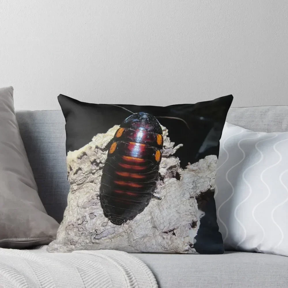 

Flat Horn Hisser Roach Throw Pillow Decorative Sofa Cushions Christmas Pillow Covers Pillow Decor Luxury Case