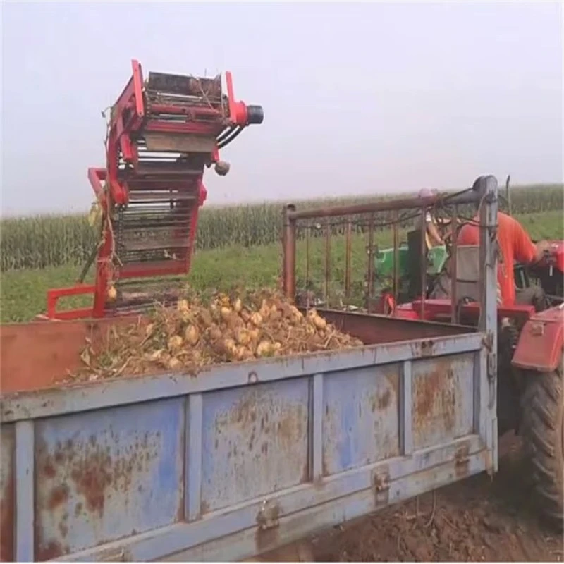 Direct Unloading Potato Combine Harvester Vegetable Harvester with Auto Loading for Potato Onion