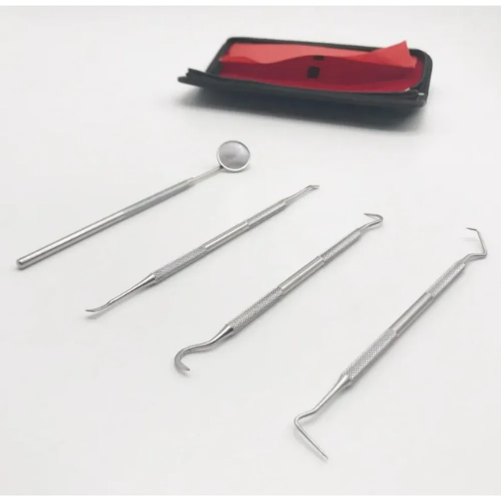 4Pcs/Set Dental Lab Personal Care Non-contaminating Steel Teeth Cleaning Product High-temperature Sterilization Reusable Tools