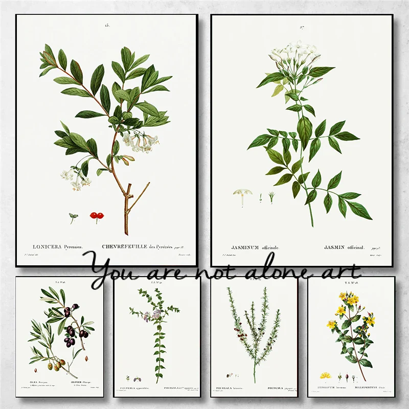 

Ретро ботаническая серия иллюстрации цветок художественный постер холст живопись настенные принты картина для гостиной домашний декор Cuadros