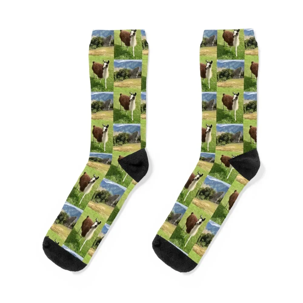 Llama Socks Men's short Children's Socks Woman Men's