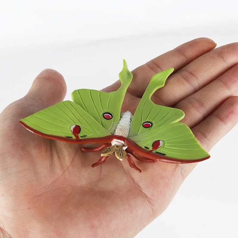 Children's Science Education Cognitive Moon God Moth Green Tail Moon Shaped Large Silkworm Moth Insect Model Toy Children's Gift