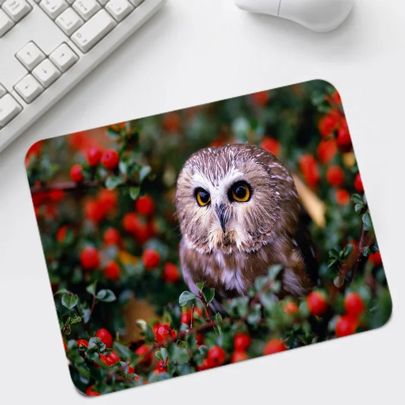 MRGBEST Big Promotion Small Mouse-pad Animal Owl Desktop Game Pad 220x180mm Provide Comfort Personality Table Pads for Gamer