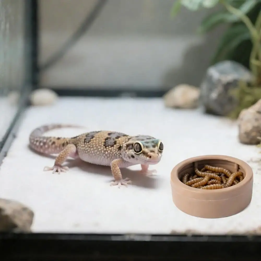 Portable Escape-Proof Reptile Food Dish Non-Tip Multi-purpose Mealworm Feeder Cups Compact Worm Water Dish Lizards