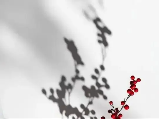 

2.4V 2.0ah 18650 Lithium Titanate Battery 2.4V 2000mAh LTO 15C Rechargeable Low Temperature Battery 25000 Cycles Flashlight