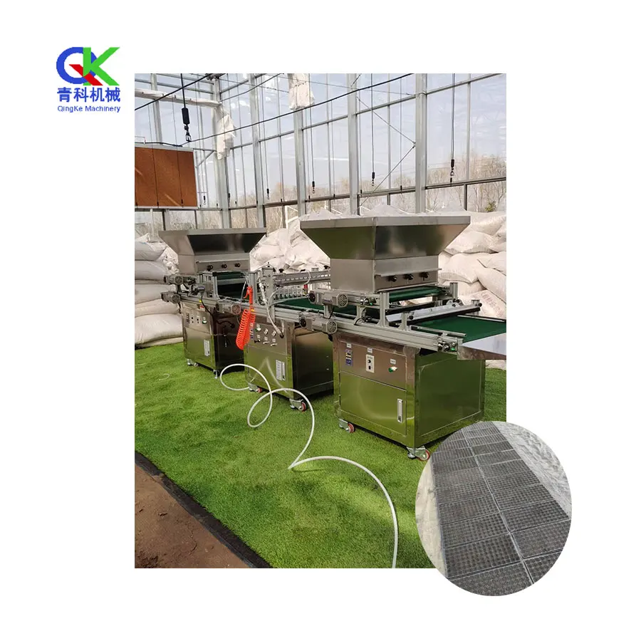 Automatic Seedling Tray Seeder Vegetable And Fruit Seeds Plug Tray Seeder Machine For Sowing Seeds Into Seedling Trays