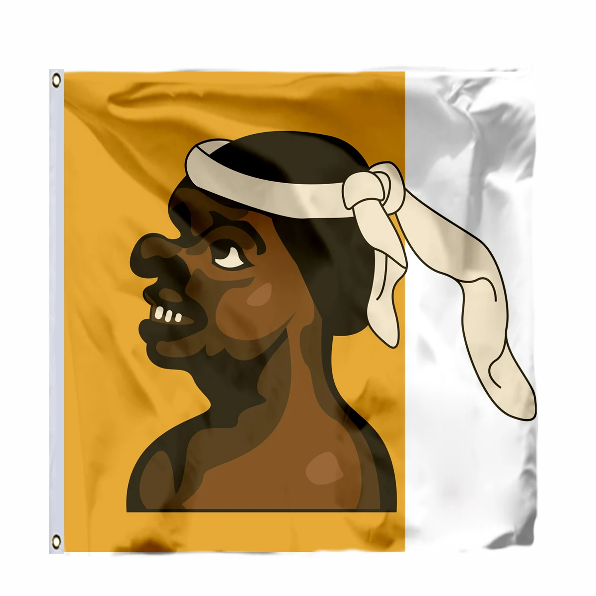 

France Corsica (14th century) Flag 120X120cm 4x4FT 100D Polyester Double Stitched High Quality Banner