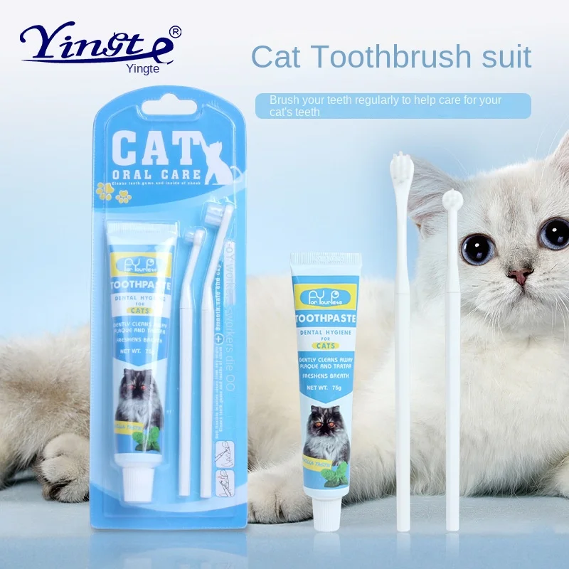 Pet toothbrush toothpaste set pet oral cleaning supplies cat toothbrush cat toothpaste set