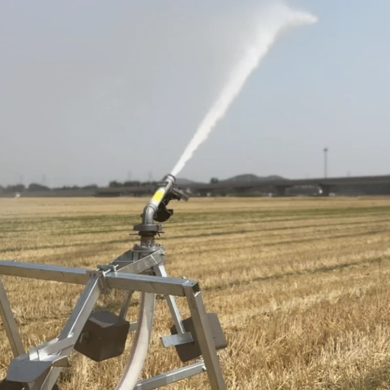 Cheap Agricultural Irrigation System With a Large Water Spray Rain  Walking Irrigation Machine Located 100 Meters Away