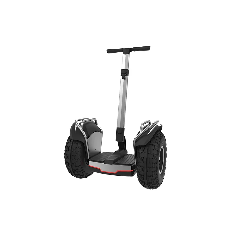 

2 Wheels 20inch wheel Self Balancing Electric electric scooters powerful adult for sale 1500W*2dual motor