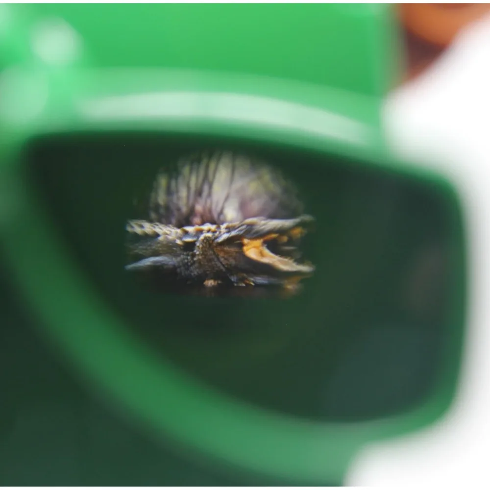 High Quality Luminous 3D View-Master Mini Theater Cognitive Puzzle Viewing Machine 3D Observation Deck Children's Gift