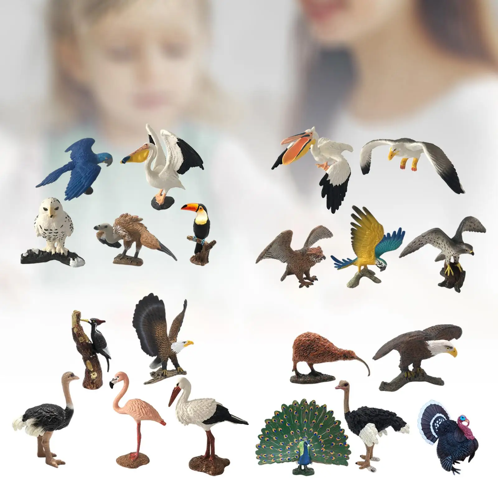 Mini figurine d'oiseau d'Auckland pour enfants, ornement modèle réaliste, jouet de jeu d'anniversaire, 5 pièces