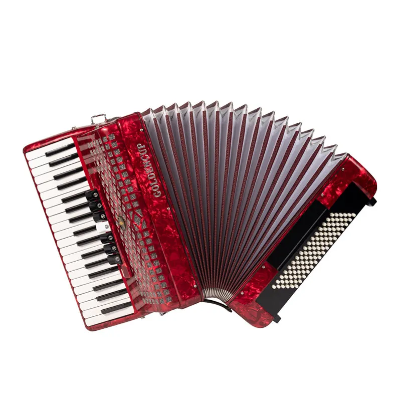 Adult Piano Accordion 60/96/120 Bass, 3/4 Reeds Musical Instrument for Beginner Learners