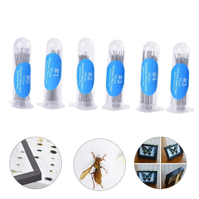 100Pcs Roestvrij Staal Insect Pinnen Specimen Pins Voor School Lab Onderwijs