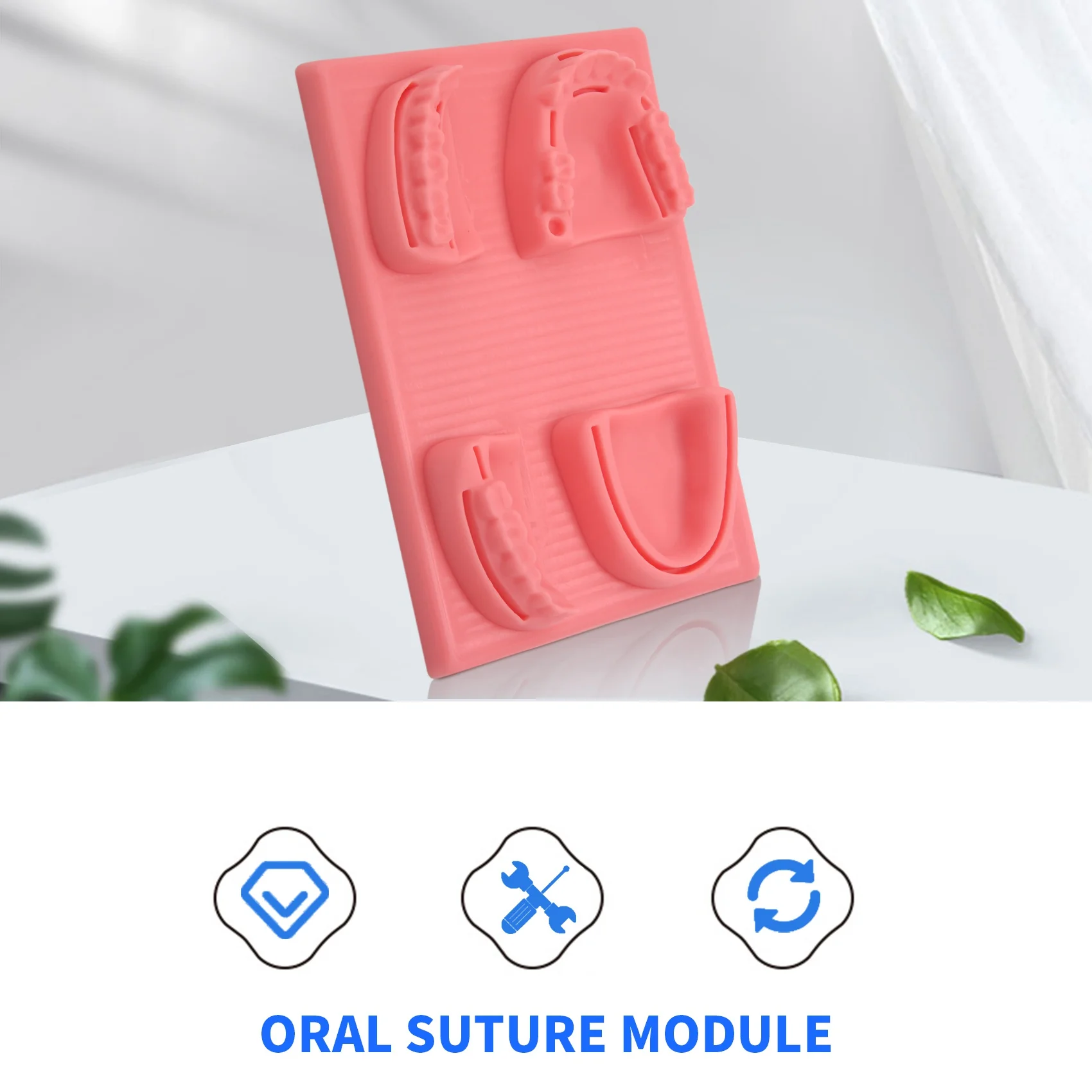 ADP-Dental Students and Veterinary Student Suturing Pad,Training Kit