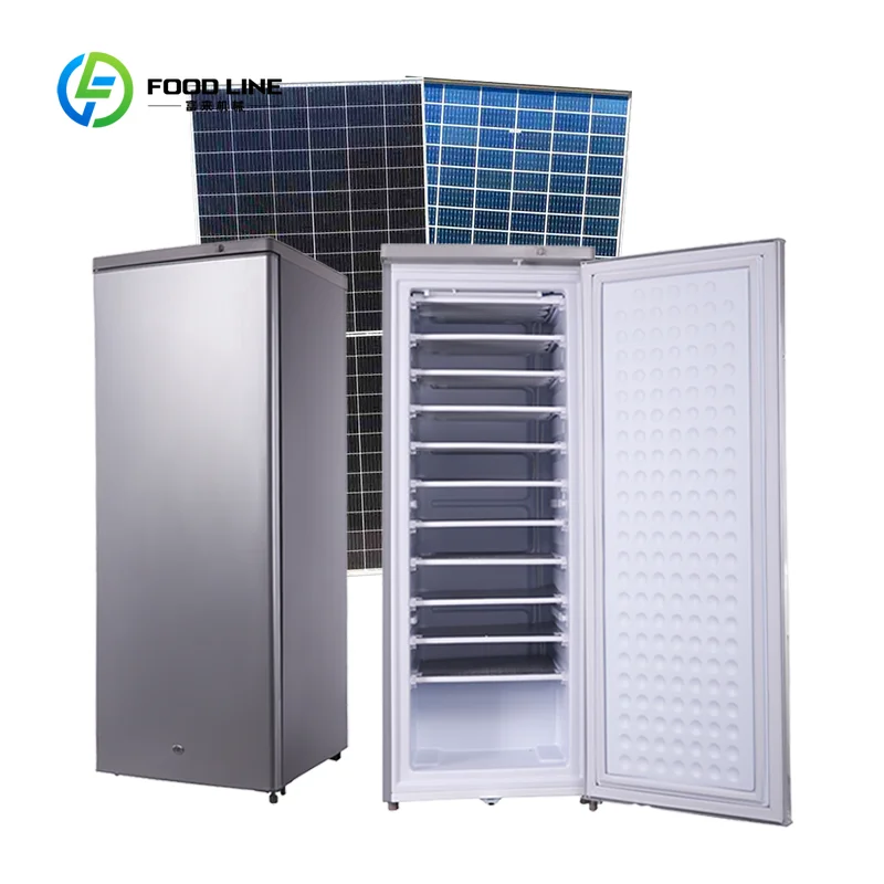 Customized DC 12V 24V Ice Block Upright Freezer Commercial Solar Panel 24 Hours Diy Solar Ice Maker Solar Powered