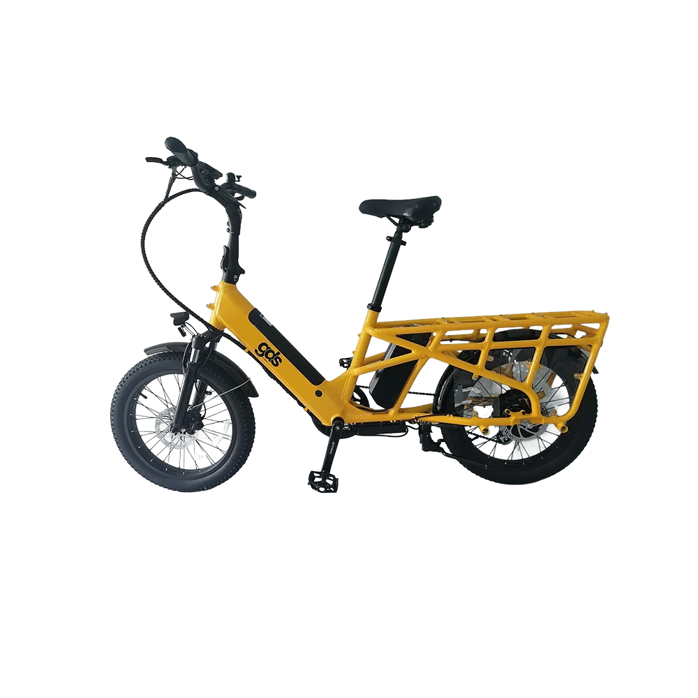 

48 В 350 Вт мотор, семейная доставка, электронный груз, две батареи, максимальная загрузка, семейный электровелосипед OEM, индивидуальный электрический велосипед