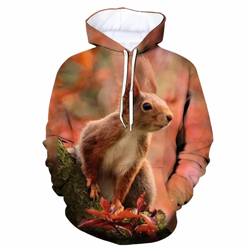 Leuke Eekhoorn Grafische Hoodies Voor Mannen Mode Herfst Grappige Dieren 3D Gedrukt Lange Mouw Truien Casual Losse Kids Hoodie